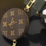 Louis Vuitton Multi Pochette Accessoires M44813